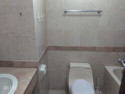 Tanglin Regency (D10), Condominium #604353221
